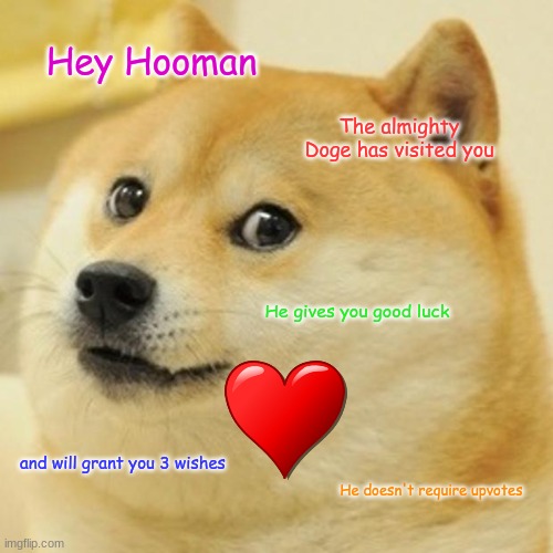 The Mighty Doge | Hey Hooman; The almighty Doge has visited you; He gives you good luck; and will grant you 3 wishes; He doesn't require upvotes | image tagged in memes,doge | made w/ Imgflip meme maker