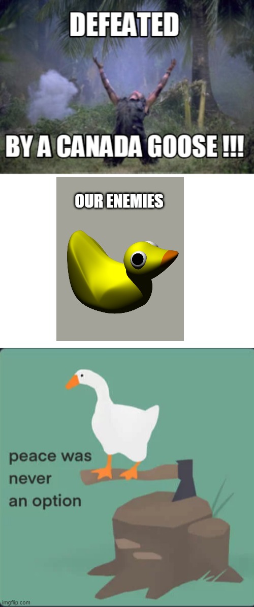 Goose memes | OUR ENEMIES | image tagged in memes,geese,rubber ducks,untitled goose peace was never an option | made w/ Imgflip meme maker