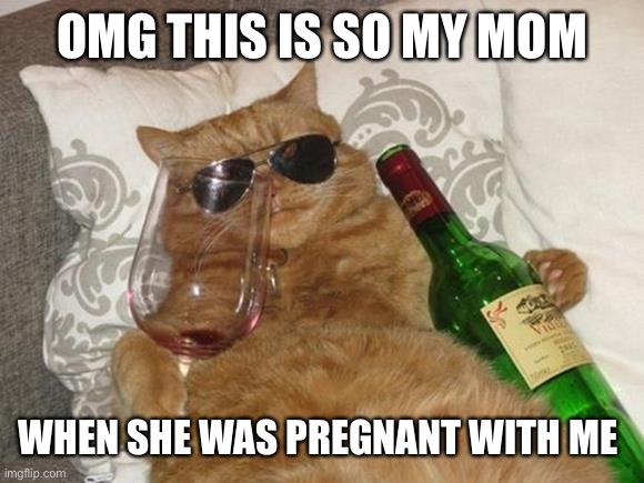 It was | OMG THIS IS SO MY MOM; WHEN SHE WAS PREGNANT WITH ME | image tagged in funny cat birthday,socrates | made w/ Imgflip meme maker