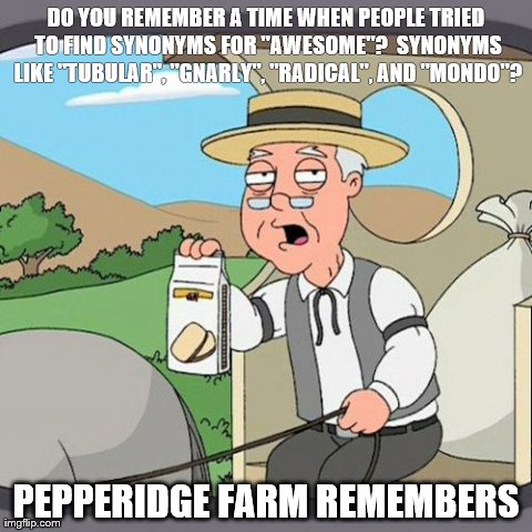 Pepperidge Farm Remembers Meme | DO YOU REMEMBER A TIME WHEN PEOPLE TRIED TO FIND SYNONYMS FOR "AWESOME"?  SYNONYMS LIKE "TUBULAR", "GNARLY", "RADICAL", AND "MONDO"? PEPPERI | image tagged in memes,pepperidge farm remembers | made w/ Imgflip meme maker