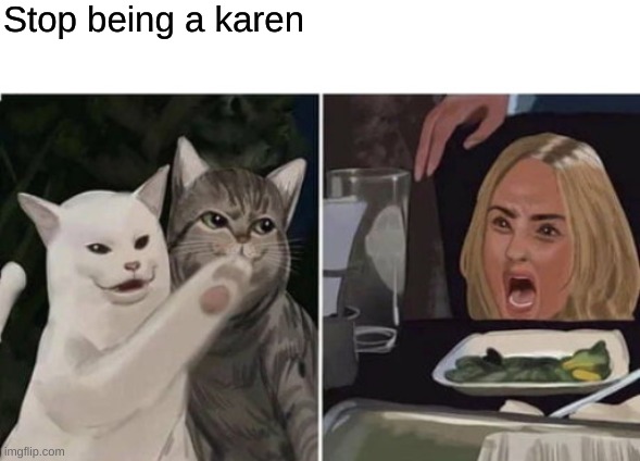 Karen Yelling At Cat Meme Generator Lazaro Fosnaugh
