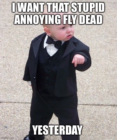 When there’s an annoying fly inside the house and you can’t hit it with the flyswatter: | I WANT THAT STUPID ANNOYING FLY DEAD; YESTERDAY | image tagged in memes,baby godfather | made w/ Imgflip meme maker