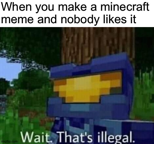 Did you like it? | When you make a minecraft meme and nobody likes it | image tagged in blank white template | made w/ Imgflip meme maker