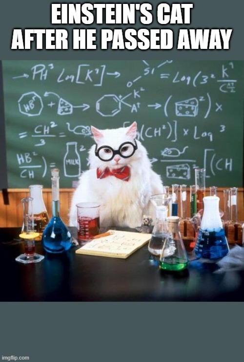 Chemistry Cat | EINSTEIN'S CAT AFTER HE PASSED AWAY | image tagged in memes,chemistry cat | made w/ Imgflip meme maker