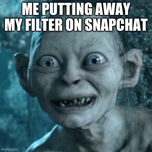 truth | ME PUTTING AWAY MY FILTER ON SNAPCHAT | image tagged in memes,gollum | made w/ Imgflip meme maker