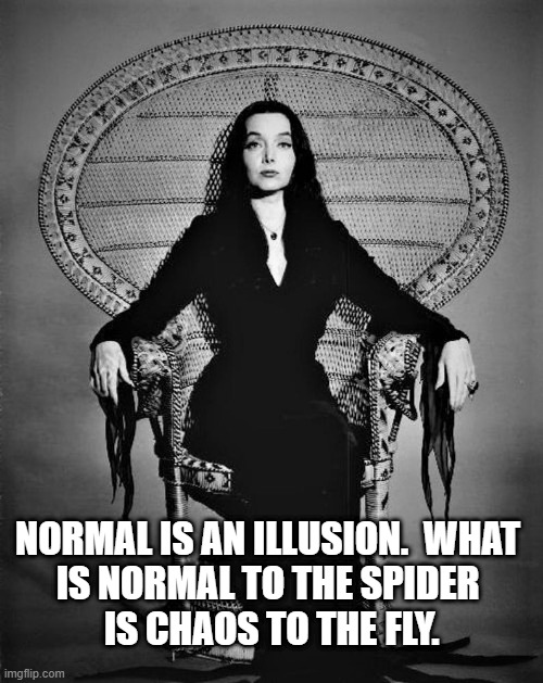 normal | NORMAL IS AN ILLUSION.  WHAT 
IS NORMAL TO THE SPIDER 
IS CHAOS TO THE FLY. | image tagged in addams,morticia,normal v chaos,perspective | made w/ Imgflip meme maker