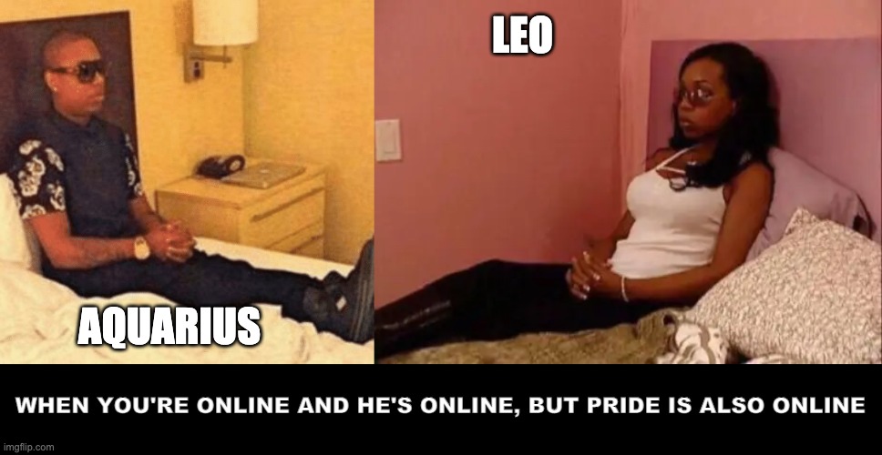 LEO; AQUARIUS; WHEN YOU'RE ONLINE AND HE'S ONLINE, BUT PRIDE IS ALSO ONLINE | image tagged in aquarius,leo,stubborn | made w/ Imgflip meme maker