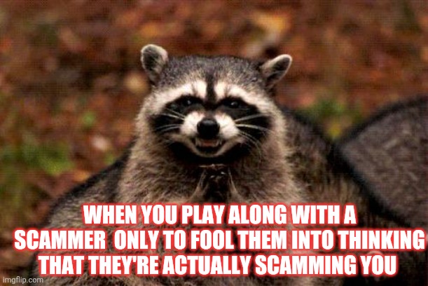 Playing along with a scammer! | WHEN YOU PLAY ALONG WITH A SCAMMER  ONLY TO FOOL THEM INTO THINKING THAT THEY'RE ACTUALLY SCAMMING YOU | image tagged in memes,evil plotting raccoon,scammer,scammers,scam,playingalong | made w/ Imgflip meme maker
