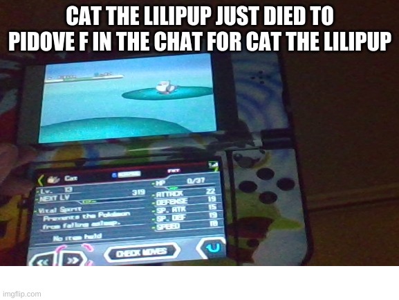 Didn't quite pay attention to the damage | CAT THE LILIPUP JUST DIED TO PIDOVE F IN THE CHAT FOR CAT THE LILIPUP | made w/ Imgflip meme maker