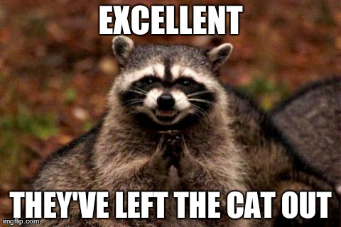 Evil Plotting Raccoon Meme | EXCELLENT THEY'VE LEFT THE CAT OUT | image tagged in memes,evil plotting raccoon | made w/ Imgflip meme maker