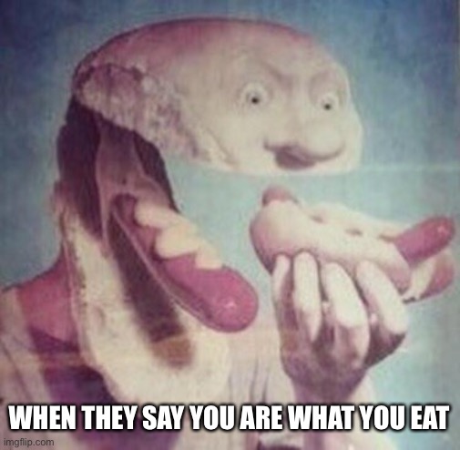 Uhhh | WHEN THEY SAY YOU ARE WHAT YOU EAT | image tagged in hot dog | made w/ Imgflip meme maker