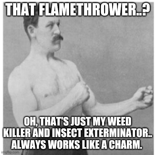 Overly Manly Man | THAT FLAMETHROWER..? OH, THAT'S JUST MY WEED KILLER AND INSECT EXTERMINATOR.. ALWAYS WORKS LIKE A CHARM. | image tagged in memes,overly manly man | made w/ Imgflip meme maker