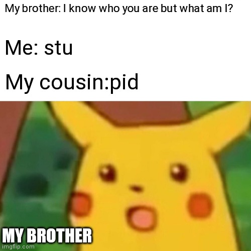 Fun times | My brother: I know who you are but what am I? Me: stu; My cousin:pid; MY BROTHER | image tagged in memes,surprised pikachu | made w/ Imgflip meme maker