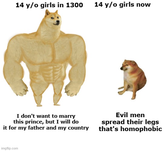 Girls meme | 14 y/o girls now; 14 y/o girls in 1300; I don't want to marry this prince, but I will do it for my father and my country; Evil men spread their legs that's homophobic | image tagged in big dog small dog,girl,middle age,today,homophobic,dumb | made w/ Imgflip meme maker