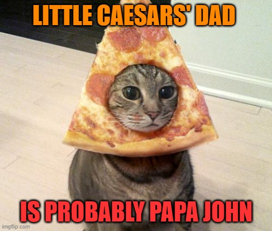 This one gets me. | LITTLE CAESARS' DAD; IS PROBABLY PAPA JOHN | image tagged in pizza cat,little casers,papa john,lol | made w/ Imgflip meme maker