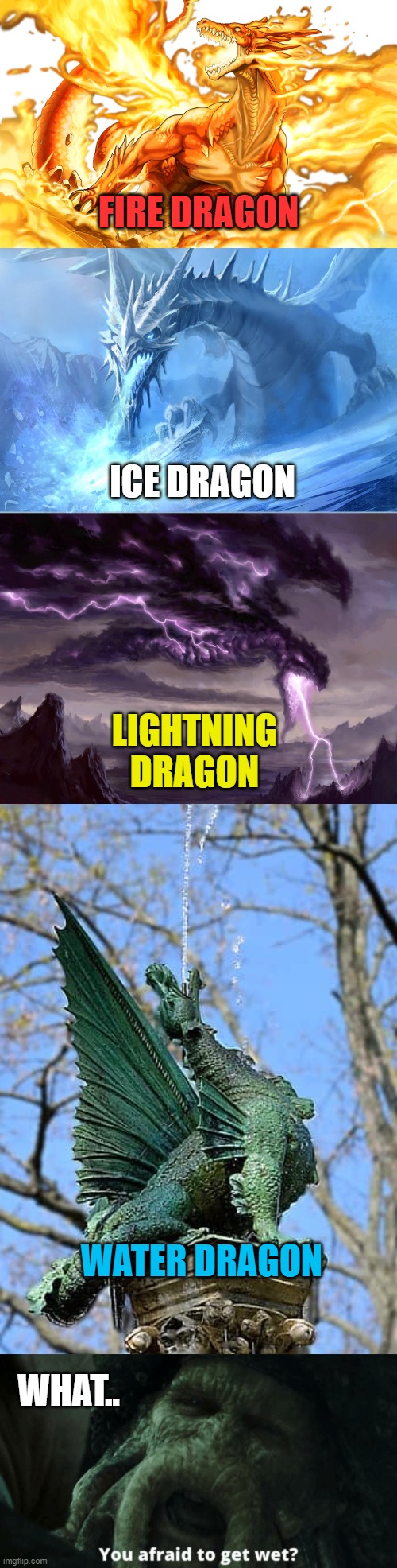 THE WATER DRAGON CAN GIVE YOU A SHOWER | FIRE DRAGON; ICE DRAGON; LIGHTNING DRAGON; WATER DRAGON; WHAT.. | image tagged in dragon,dragons | made w/ Imgflip meme maker