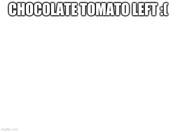 I wonder why... | CHOCOLATE TOMATO LEFT :( | image tagged in blank white template | made w/ Imgflip meme maker