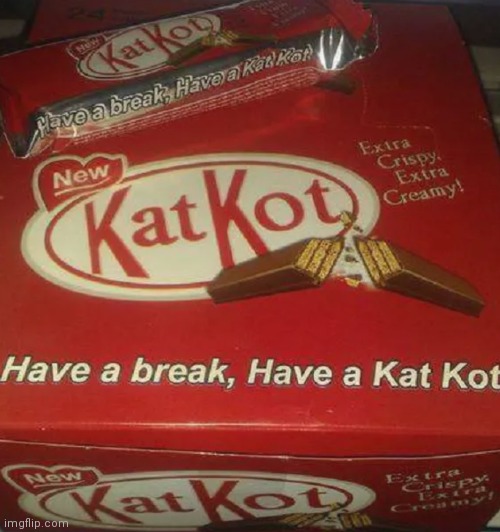 BrEaK mE oFf A pIeCe oF tHaT kAt kOt BaR! | image tagged in memes | made w/ Imgflip meme maker