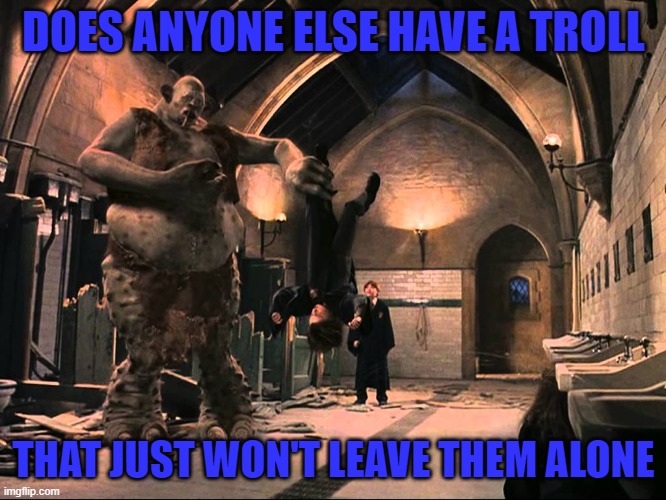 If you do, then welcome to my world! | DOES ANYONE ELSE HAVE A TROLL; THAT JUST WON'T LEAVE THEM ALONE | image tagged in harry potter troll,memes,trolls,imgflip,funny | made w/ Imgflip meme maker