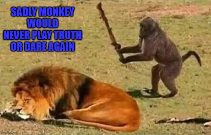 I never play that game... | SADLY MONKEY WOULD NEVER PLAY TRUTH OR DARE AGAIN | image tagged in drunk monkey,memes,truth or dare,funny,monkey,animals | made w/ Imgflip meme maker