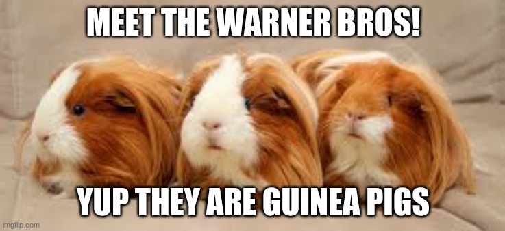 Meet the Warner Bros! | MEET THE WARNER BROS! YUP THEY ARE GUINEA PIGS | image tagged in the warner bros | made w/ Imgflip meme maker