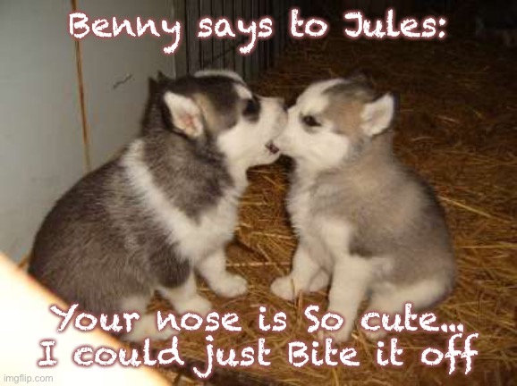 Cute Puppies | Benny says to Jules:; Your nose is So cute... I could just Bite it off | image tagged in memes,cute puppies | made w/ Imgflip meme maker