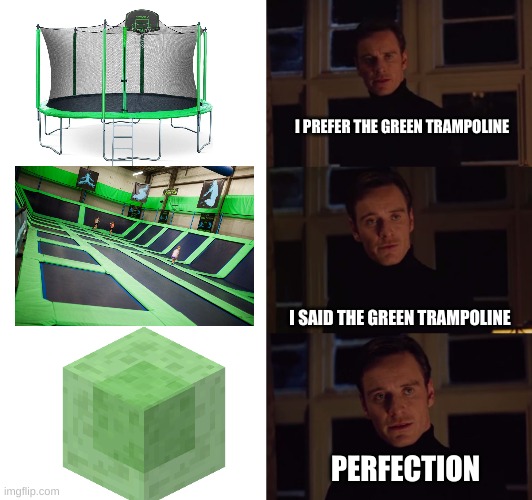 slime block is the PERFECT trampoline | I PREFER THE GREEN TRAMPOLINE; I SAID THE GREEN TRAMPOLINE; PERFECTION | image tagged in perfection | made w/ Imgflip meme maker