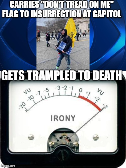 Oof | CARRIES "DON'T TREAD ON ME" FLAG TO INSURRECTION AT CAPITOL; GETS TRAMPLED TO DEATH | image tagged in irony meter,donald trump,capitol hill,treason,election 2020 | made w/ Imgflip meme maker