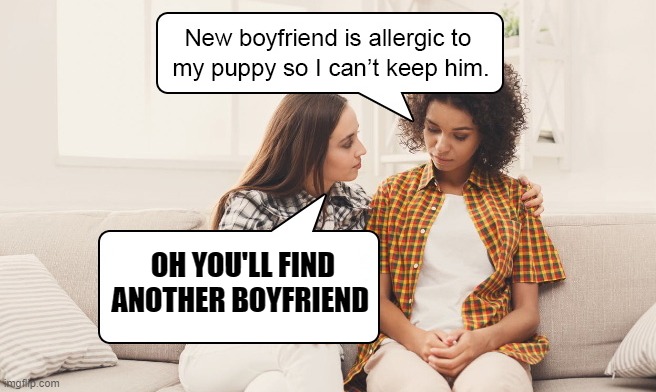 I'm allergic! | OH YOU'LL FIND ANOTHER BOYFRIEND | image tagged in puppy,distracted boyfriend | made w/ Imgflip meme maker