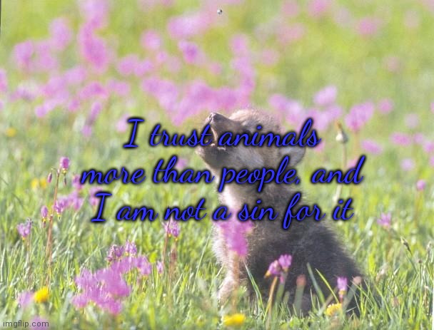 :) | I trust animals more than people, and I am not a sin for it | image tagged in memes,baby insanity wolf | made w/ Imgflip meme maker