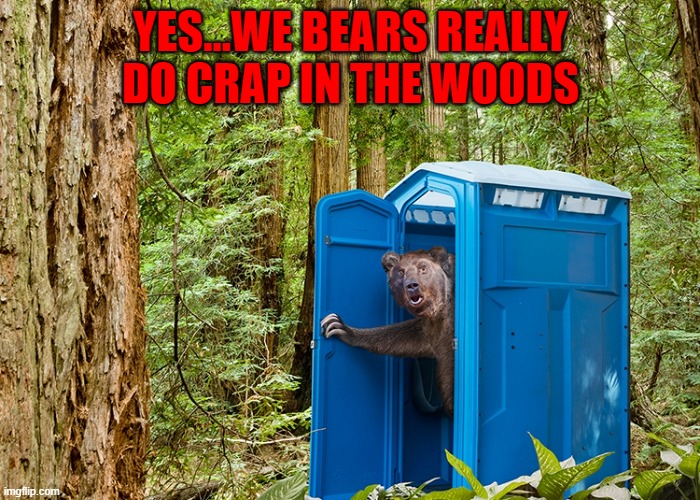That answers that question... | YES...WE BEARS REALLY DO CRAP IN THE WOODS | image tagged in bear porta potty,memes,bears | made w/ Imgflip meme maker
