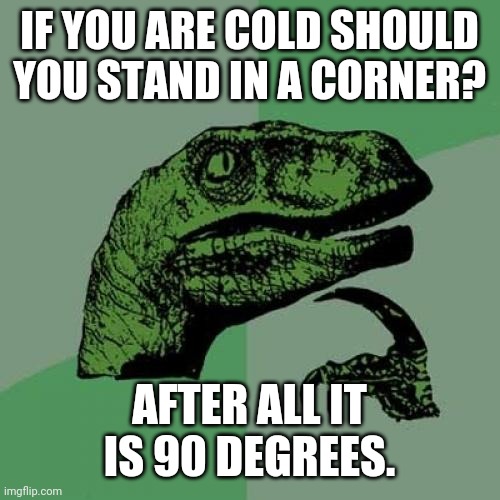 Right on | IF YOU ARE COLD SHOULD YOU STAND IN A CORNER? AFTER ALL IT IS 90 DEGREES. | image tagged in philosoraptor,cold,warm,heat,jokes,thoughts | made w/ Imgflip meme maker
