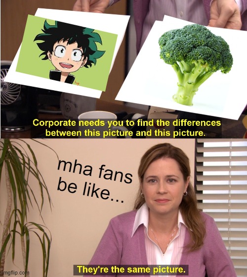 mha fans be like... | mha fans be like... | image tagged in memes,they're the same picture,my hero academia,deku,broccoli,funny memes | made w/ Imgflip meme maker