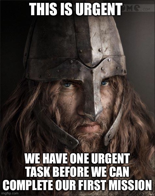 Info in the comments | THIS IS URGENT; WE HAVE ONE URGENT TASK BEFORE WE CAN COMPLETE OUR FIRST MISSION | image tagged in viking | made w/ Imgflip meme maker