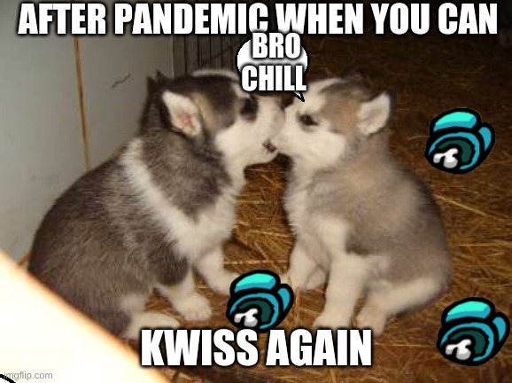 0-0 | AFTER PANDEMIC WHEN YOU CAN; BRO CHILL; KWISS AGAIN | image tagged in memes,cute puppies,after pandemic | made w/ Imgflip meme maker