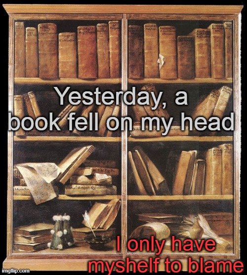 GAAAAAAAAAAHHHHHHHHHHHH | Yesterday, a book fell on my head; I only have myshelf to blame | image tagged in bookshelf | made w/ Imgflip meme maker