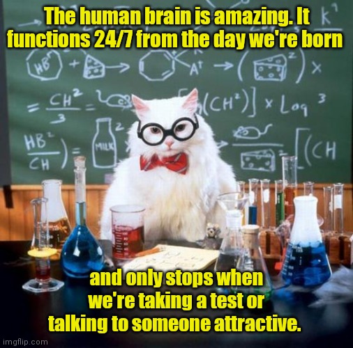 I don't know what to say. | The human brain is amazing. It functions 24/7 from the day we're born; and only stops when we're taking a test or talking to someone attractive. | image tagged in memes,chemistry cat,funny | made w/ Imgflip meme maker