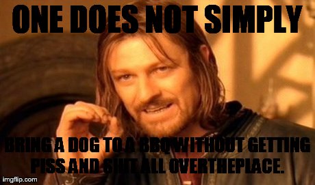 ONE DOES NOT SIMPLY BRING A DOG TO A BBQ WITHOUT GETTING PISS AND SHIT ALL OVERTHEPLACE. | image tagged in memes,one does not simply | made w/ Imgflip meme maker