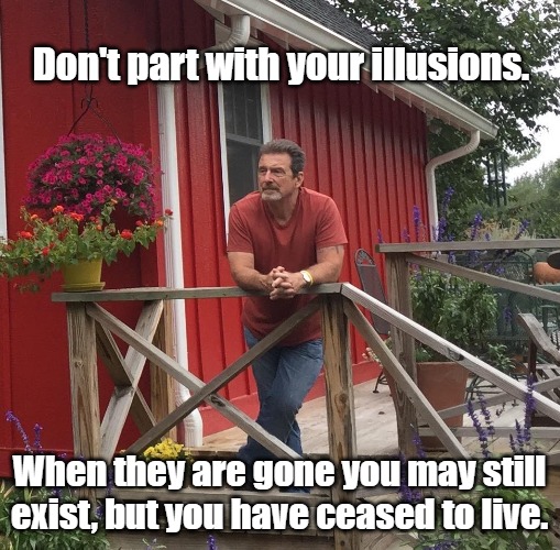 Pondering | Don't part with your illusions. When they are gone you may still exist, but you have ceased to live. | image tagged in pondering | made w/ Imgflip meme maker