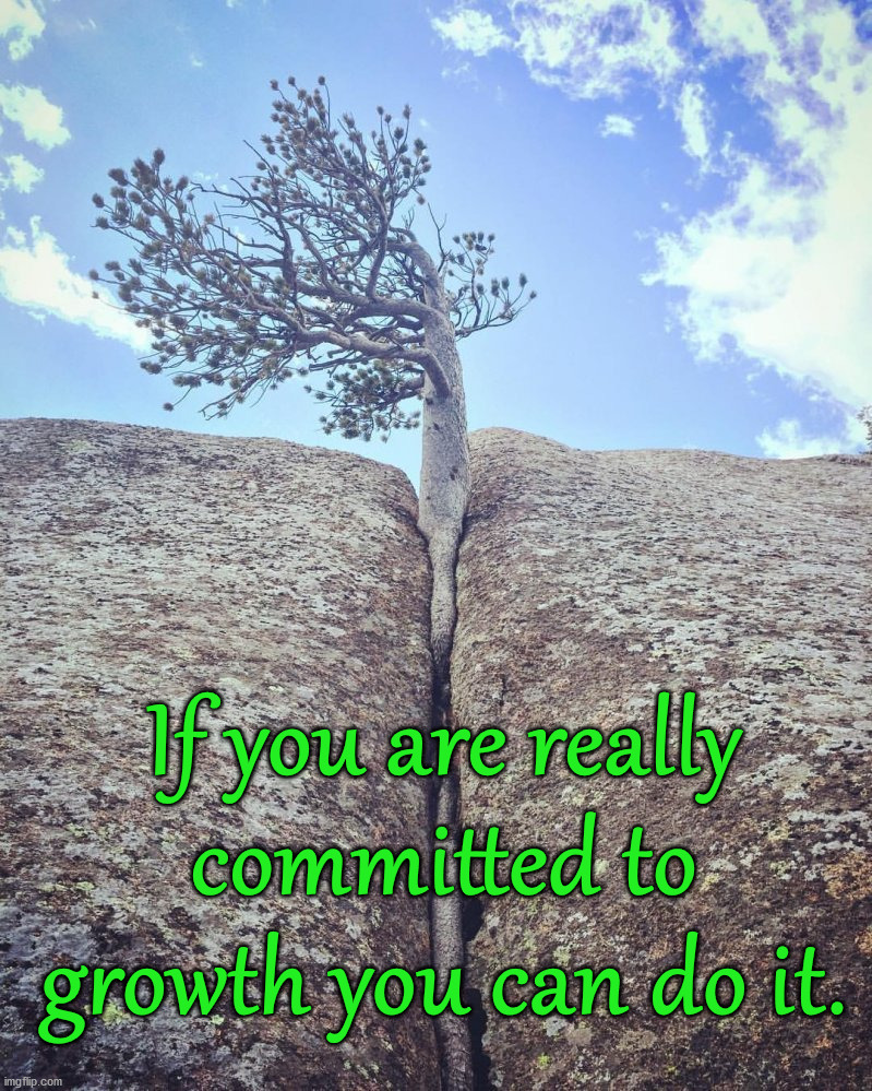 Wholesome Sunday inspiration. | If you are really committed to growth you can do it. | image tagged in inspiration,growth,you can do it | made w/ Imgflip meme maker