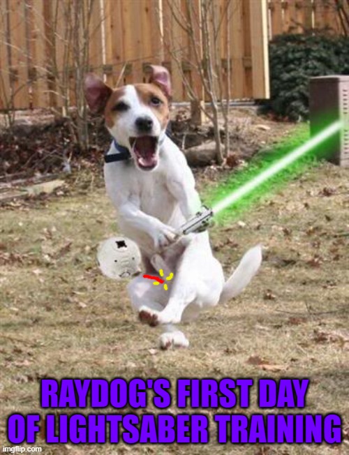 It's always best to learn quickly!!! | RAYDOG'S FIRST DAY OF LIGHTSABER TRAINING | image tagged in lightsaber training,memes,raydog,dogs,star wars,fast learner | made w/ Imgflip meme maker