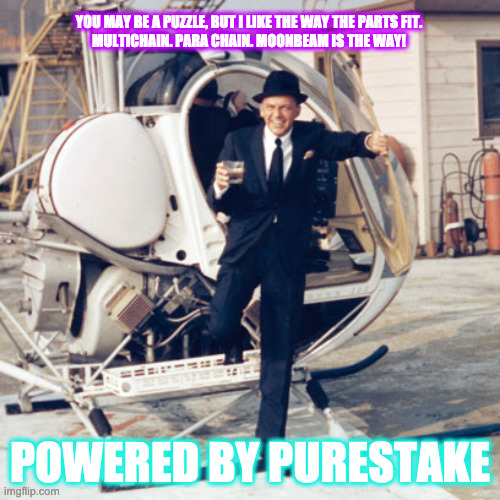 frank sinatra | YOU MAY BE A PUZZLE, BUT I LIKE THE WAY THE PARTS FIT.
MULTICHAIN. PARA CHAIN. MOONBEAM IS THE WAY! POWERED BY PURESTAKE | image tagged in frank sinatra | made w/ Imgflip meme maker