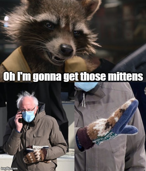 Bernie Sanders Mittens | Oh I'm gonna get those mittens | image tagged in rocket raccoon,bernie sanders,sanders,mittens,inauguration,marvel | made w/ Imgflip meme maker