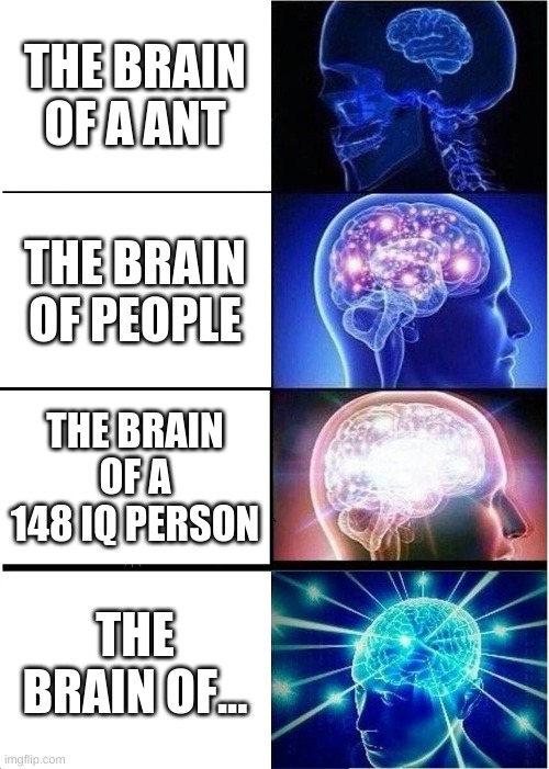 brain | THE BRAIN OF A ANT; THE BRAIN OF PEOPLE; THE BRAIN OF A 148 IQ PERSON; THE BRAIN OF... | image tagged in memes,expanding brain | made w/ Imgflip meme maker