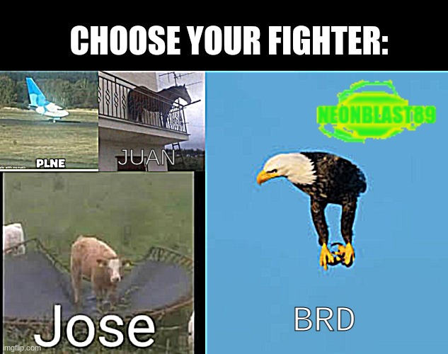 Send this to Limenade Hunter | CHOOSE YOUR FIGHTER:; JUAN; BRD | image tagged in plne,juan | made w/ Imgflip meme maker