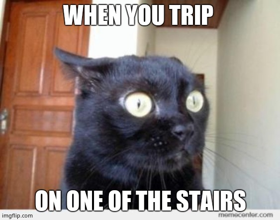When you trip | WHEN YOU TRIP; ON ONE OF THE STAIRS | image tagged in scared cat | made w/ Imgflip meme maker