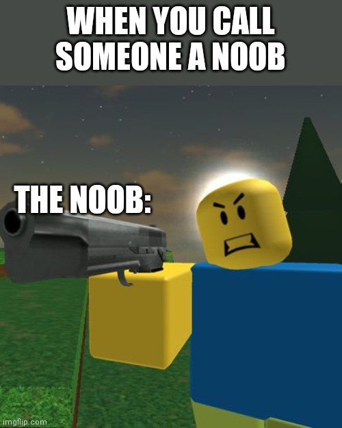 Dont Mess with a noob, and i love noobs | WHEN YOU CALL SOMEONE A NOOB; THE NOOB: | image tagged in roblox noob with a gun | made w/ Imgflip meme maker