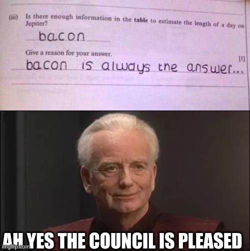 Very Good | AH YES THE COUNCIL IS PLEASED | image tagged in bacon,council,fun,funny,funny meme,funny memes | made w/ Imgflip meme maker