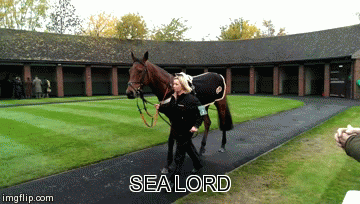 SEA LORD | SEA LORD | image tagged in gifs | made w/ Imgflip video-to-gif maker