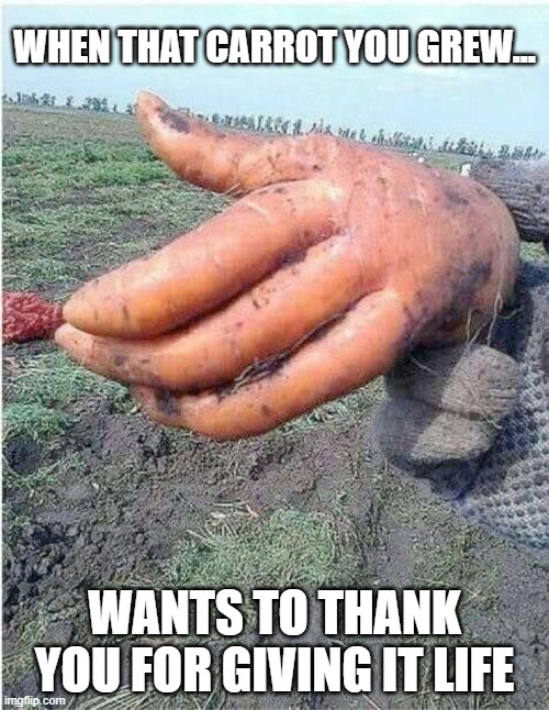 Care to shake on that Mr. Carrot? | WHEN THAT CARROT YOU GREW... WANTS TO THANK YOU FOR GIVING IT LIFE | image tagged in carrots,handshake,mutant,vegetables,farmer | made w/ Imgflip meme maker